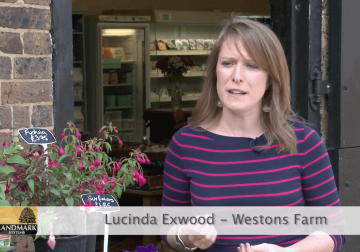 Lucinda Exwood