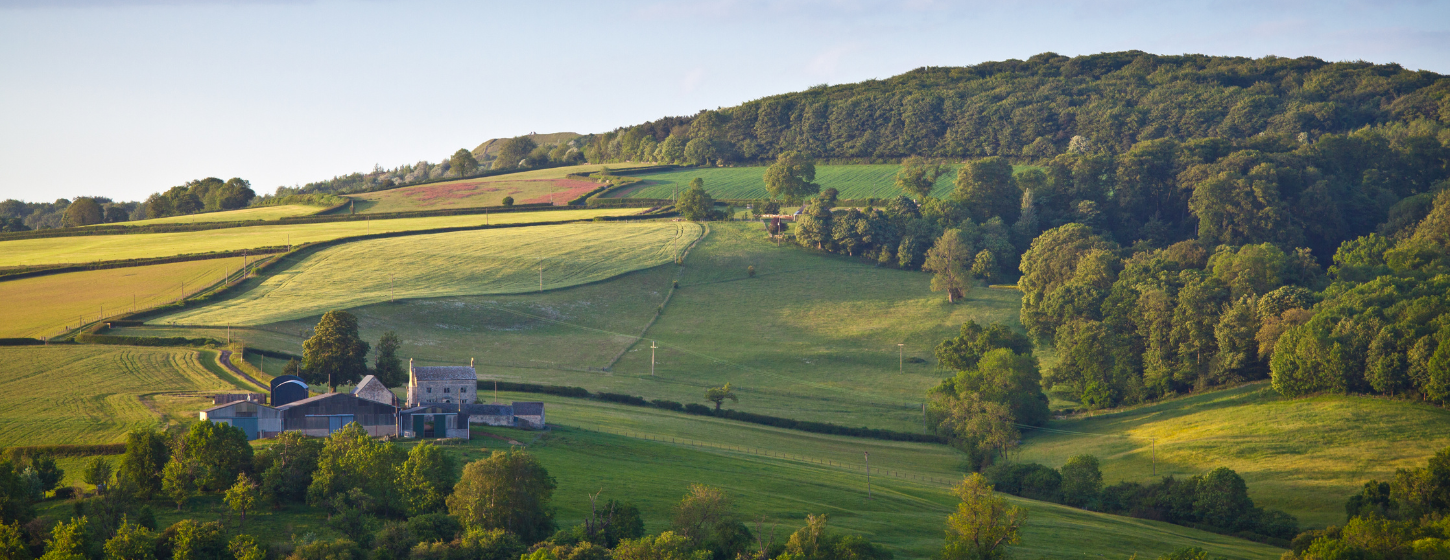 Sustainable Farming Incentive Background